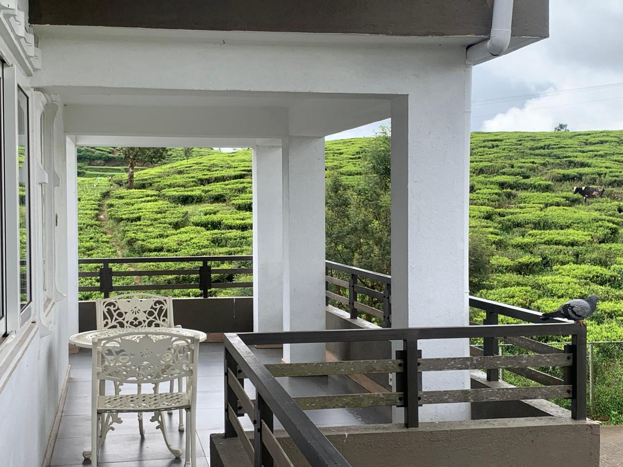 Queens Lake Cabin Nuwara Eliya Kültér fotó